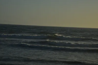 DSC_7266 (Large).JPG